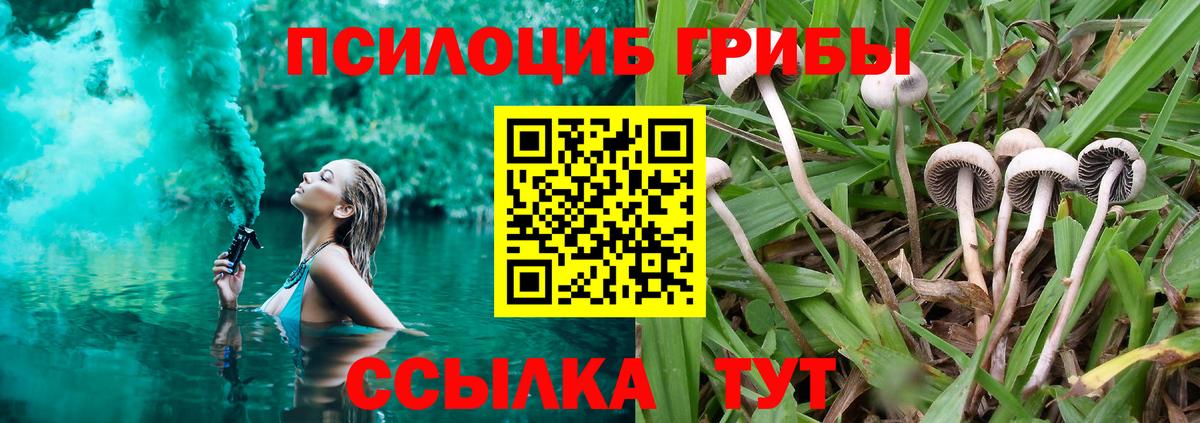 Кимовск  Галлюциногенные грибы GOLDEN TEACHER  Вход с VPN 