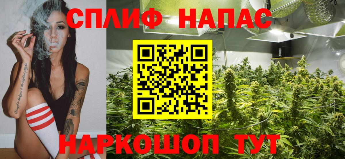 Бошки марихуана Amnesia  Конопля планчик  Кимовск  Каннабис AK-47  Вход с VPN 